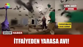 Gençlerin evini yarasa basarsa!