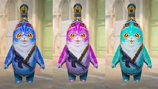 Inspecting ALL RARE Lil Whiskers Charm PATTERNS In CS2 Ingame - CS2 NEW CHARM + KEYCHAINS Showcase
