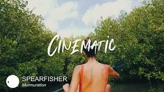 Best Serious Cinematic Music for Video [ SPEARFISHER - Murmuration ]