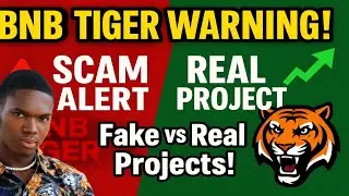 ⚠️ BNB Tiger ALERT: Fake vs Real Projects &ndash; Protect Your Investment!