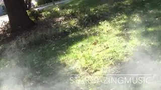 Boss - StargazingMusic