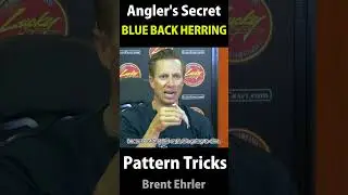 HERRING Pattern and Techniques - Slow Fish