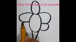 #How to draw Honey Bee step by step#How to draw Honey Bee#Honey Bee# Draw honey bee in 30 seconds