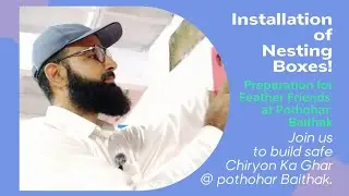 Installation of nesting boxes 🪺 | چڑیوں کا گھر تیاری کے قریب ہے