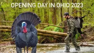RAINY DAY GOBBLER! | This Bird Came From A Quarter Mile & ACROSS A ROAD! | Opening Day in Ohio 2023