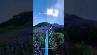 Ratangad | Ratangad fort | Trek | Harishchandragad | Treding | Bhandardara | Camping | Traveling