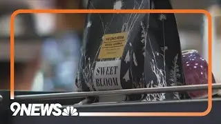 Boulder coffee shop braces for tariff impact
