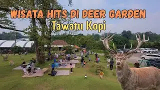 Review Lengkap Tawatu Kopi – Cafe Asri di Tengah Alam, Cocok Buat Keluarga #wisatapasuruan