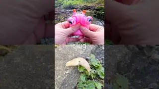 Learn Bug Insect Names for Kids at the Woodland Stream: Slug Fly Caterpillar Rhino Beetle Centipede