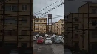 Bicho pegando - Rio de Janeiro