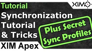 XIM Apex — Учебное пособие по синхронизации и секретным профилям синхронизации