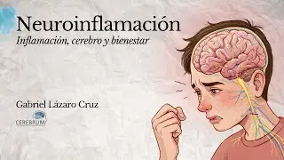 🧠 Neuroinflamaci&oacute;n: Depresi&oacute;n y ansiedad - Gabriel L&aacute;zaro Cruz - CEREBRUM