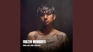 Frozen Memories