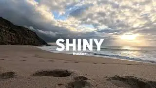 #51 Neoliizer - Shiny (No Copyright Music) 