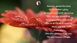 Wondrous King, all glorious | Joachim Neander