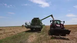 Erntetour 2024 (27.07.2024) - Deutz Fahr M35.80 bei der Weizenernte