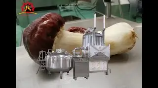 fruit vegetable snacks peanuts vacuum frying machine