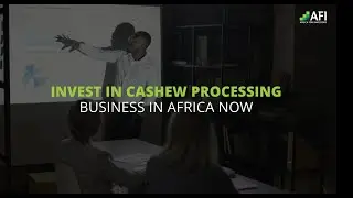 Cashew Nut Processing in Africa: Market Forecast, Investment Opportunities & Growth by 2029