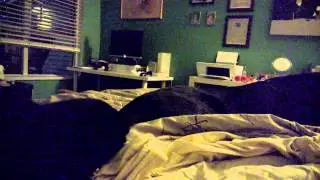 interspecies communication