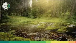 How digital age transformations can accelerate climate action