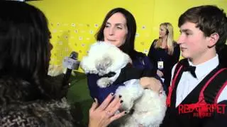 Dog of the Year, Hank at the World Dog Awards on The CW Green Carpet #CelebrityDogs #DogTales