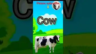 Animals Names& animals picture||# learning video for kids