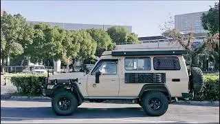 Gullwing window for toyota land cruiser troopy lc78