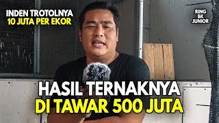 TERNYATA MENCETAK MURAI HYPER ROLL PUKUL PAKAI CARA INI