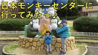 【お出かけ】日本モンキーセンターに行ってみたっ！!