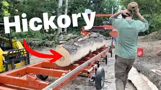 The Hardest Wood I&rsquo;ve Ever Cut