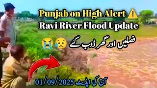 🚨 Flood Alert in River Ravi | 220,000 Cusecs Water Flow | چیچہ وطنی، تلمبہ، میاں چنوں میں اونچے 