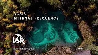 Internal Frequency - Illusion (Original Mix) {IRON047}
