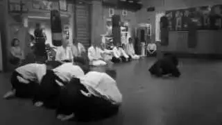 Aikido - Randori