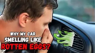 What Causes Rotten Egg Smells in Cars and How to Fix Them Easily?