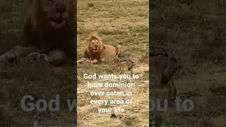 How to dominate your territory