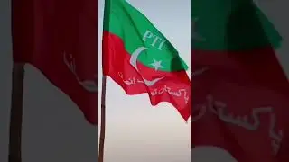 Love You Pakistan Tehrek Insaf Supporters on This Great Victory In Punjab