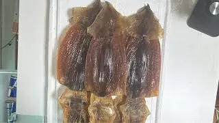 배에서 잡아오자 마자 활오징어를 20분만에 손질해 말린 독도오징어 왕특대