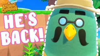BREWSTER IS BACK! Cooking, New Camera and More! | Animal Crossing New Horizons Update Gameplay ♡