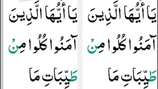  Concept of Tayyibaat for metabolic dysregulation and environmental pollution!