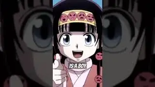 Did You Know That Alluka Zoldyck...
