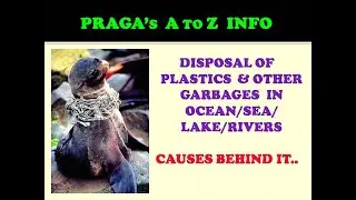 Harmful truth behind Disposal of Plastics & Other Garbage in Ocean, Sea, Lake &  River..