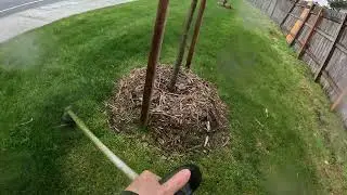 Weed Whacking Long Patch