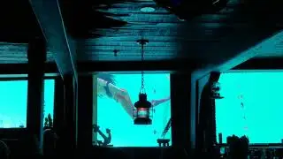 Mermaids are real! Wrecked Bar Fort Lauderdale