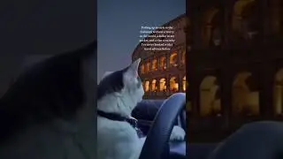 Rome Travel Funny