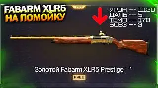 ФИКС FABARM И BENELLI НА ПОМОЙКУ! ПТС, ЗАБИРАЙ 205% И ЗОЛОТОЙ SIG SAUER В WARFACE, Халява варфейс