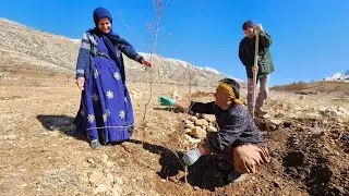 Planting a Seedling of Hope: Will We Be Proud of Our Work in 3 Years? - Our Future