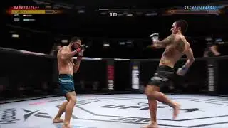 UFC fight with Babytree123