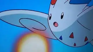 Togekiss Protects Piplup from Gible's Draco Meteor