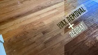 Wax Removal + Sandless Restoration (timelapse)