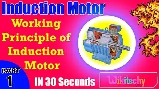 Working Principle of Induction Motor | Induction Motor Interview Questions Answers
